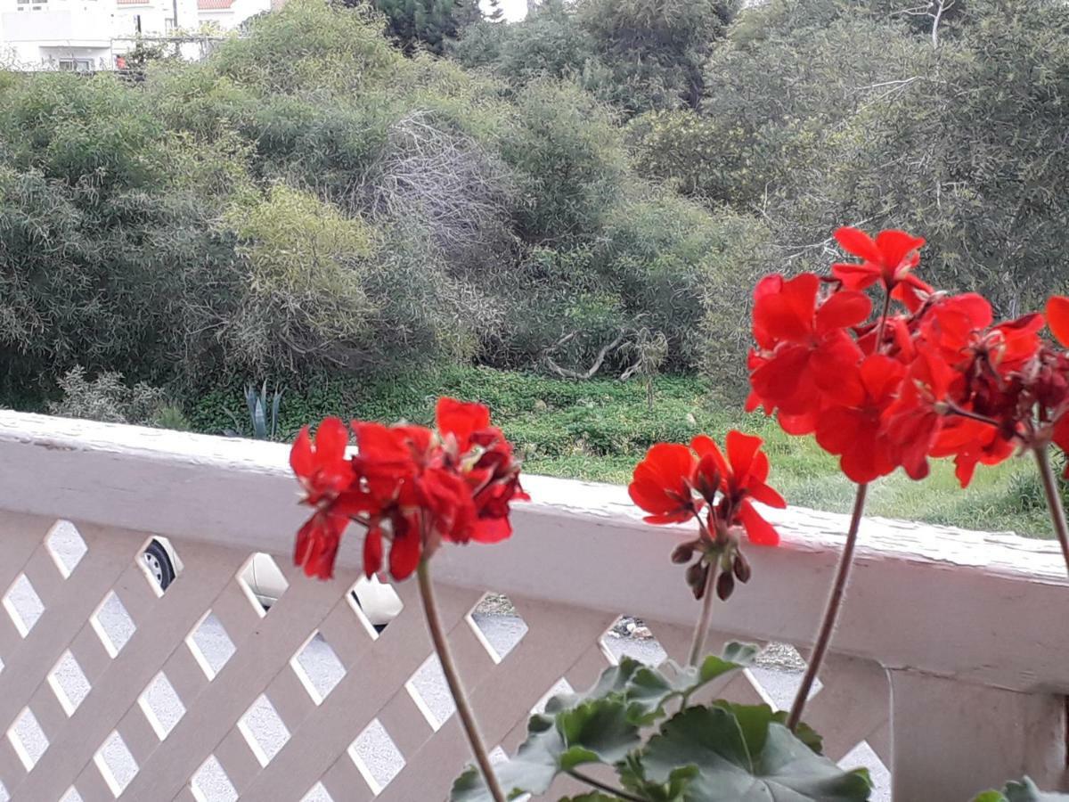 Protaras Happy Sunny Holidays Paralímni Extérieur photo